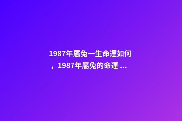 1987年屬兔一生命運如何，1987年屬兔的命運 1987年屬兔是什么命